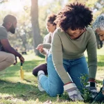 activite-ecoresponsable-entreprise activite-ecoresponsable-entreprise
